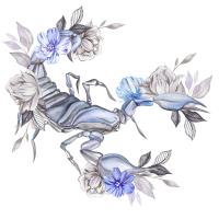 Astrologisches Zeichen Skorpion