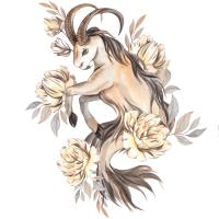 Astrologisches Zeichen Steinbock